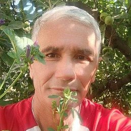 ���������, �������, 67 ���