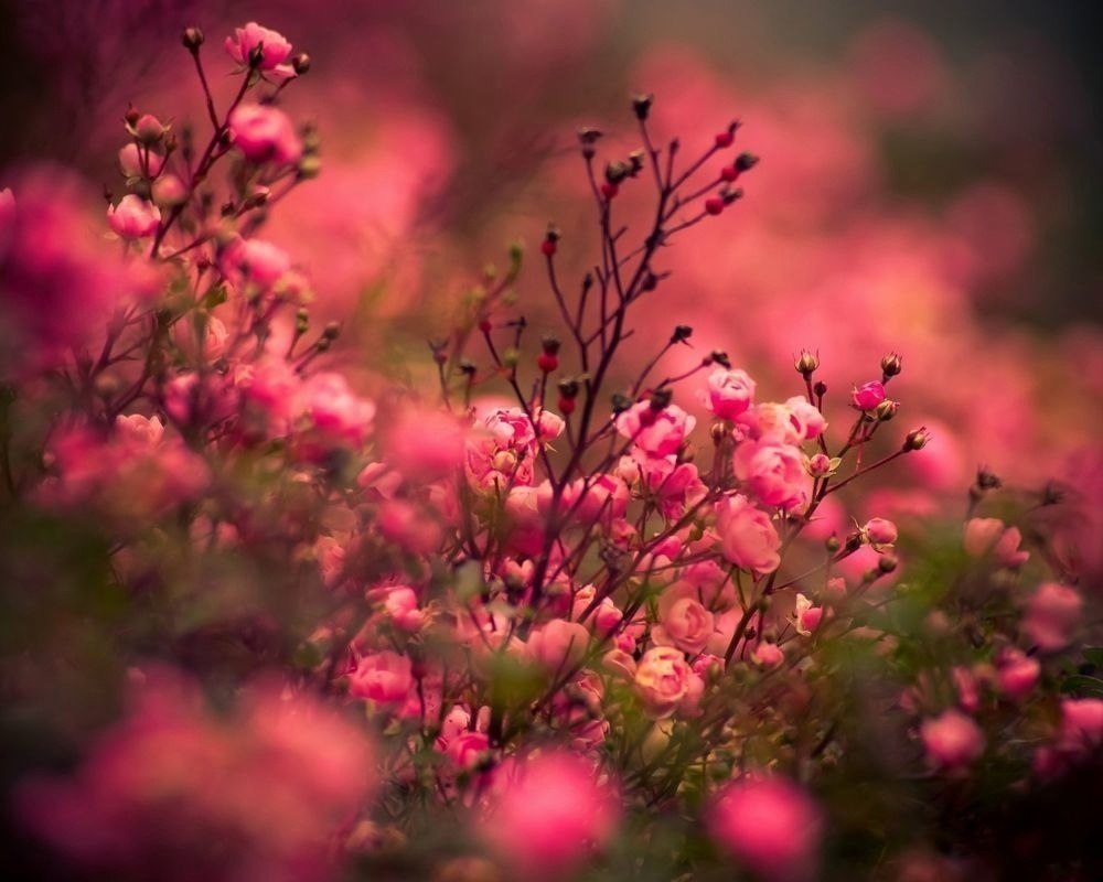 �� ��������� ���� ������ �������, � �� ��� ����� ������ �� �������� ����� ��� ���������� ���������.