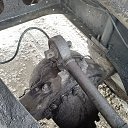 ���� ������, ������, 41 ��� - ��������� 12 ����� 2023 � ������ ���� ����������