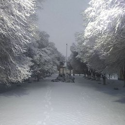 ���, ���������, 37 ���