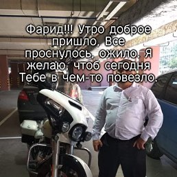 ���� �����, ������, 52 ���� - ��������� 18 ������� 2023