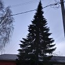 ���� ������, �����������, 26 ��� - ��������� 17 ��� 2023 � ������ ���� ����������