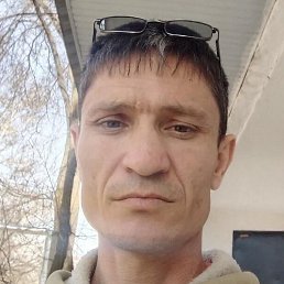 �����, �����, 44 ����