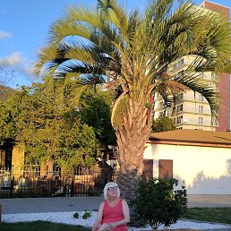 �����, ������, 67 ���