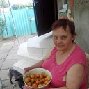 ���� ������, ���������, 81 ��� - ��������� 27 �������� 2023