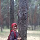 ���� �������, ���������, 67 ��� - ��������� 20 ���� 2023 � ������ ���� ����������