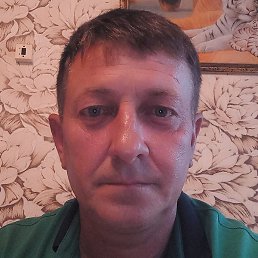 ������, ������, 51 ���