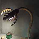 ���� �������, �������, 46 ��� - ��������� 26 ������ 2023