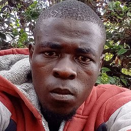 Sheldon, �������, 26 ���