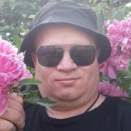 ����, ������, 37 ���