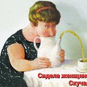  ,  , 61  -  28  2023    