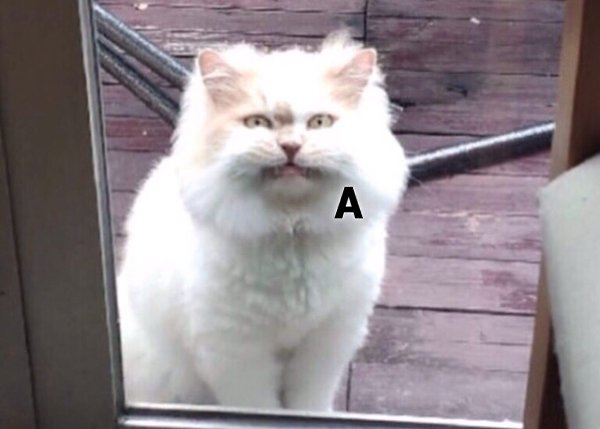 ! - 3