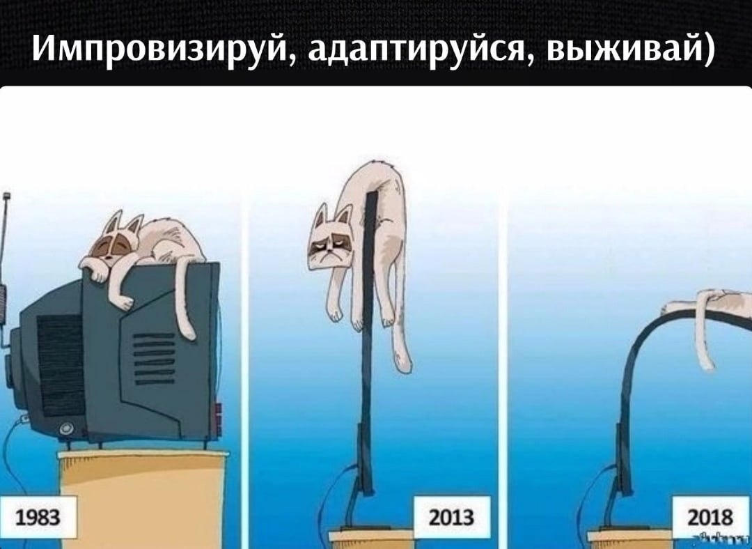       - 14  2023  23:35