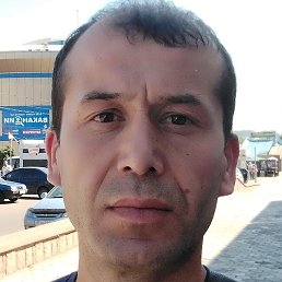 ����, �����������, 41 ���