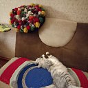 ���� ����, ������ ��������, 53 ���� - ��������� 8 ������ 2023