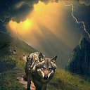 ���� �����, ������, 37 ��� - ��������� 10 ������� 2023 � ������ ���� ����������