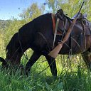  , -, 47  -  28  2023    