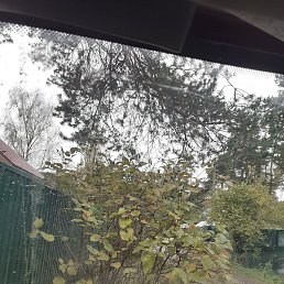 ����, ������, 43 ����