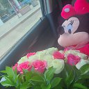 ���� ��������, �����-���������, 37 ��� - ��������� 25 ���� 2023 � ������ ���� ����������