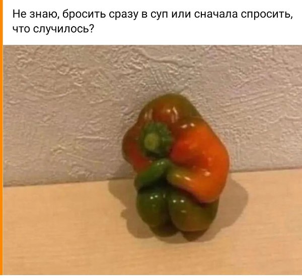   - 8  2023  18:31