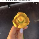 ���� �����, ������, 43 ���� - ��������� 23 ���� 2023 � ������ ���� ����������