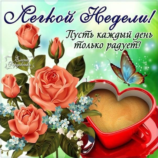   ,    . - 1  2023  23:16