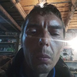 ����, ������, 43 ����