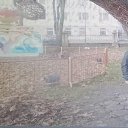 ���� �������, ������, 33 ���� - ��������� 25 �������� 2023 � ������ ���� ����������