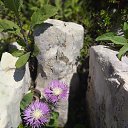 ���� ������, ���� - ��������� 26 ���� 2023 � ������ ����� �������� 1850 � ��� ������� ����. ����, ������� _ 25-06-2023�