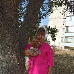 �����, ������, 56 ���