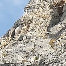 ������, ������, 50 ���