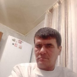 ���� �����, ���������, 56 ��� - ��������� 12 ���� 2023