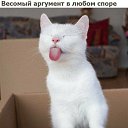 ���� ��������, �����������, 55 ��� - ��������� 20 �������� 2023 � ������ ������ ��������