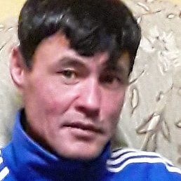 ����, ���������, 44 ����