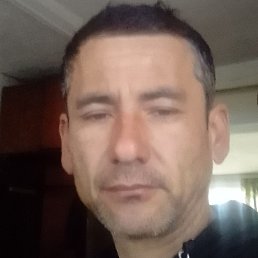 �����, ������, 43 ����