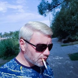 �������, ������, 41 ���