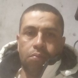 Andres, ����, 40 ���