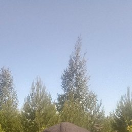 ����, ������, 40 ���