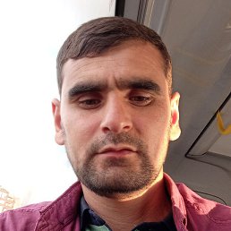 ����, ������� ��������, 37 ���