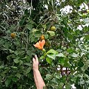 ���� ������, �����������, 65 ��� - ��������� 14 ���� 2023 � ������ ���� ����������
