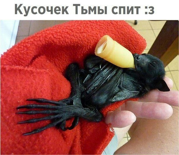    - 21  2023  02:13