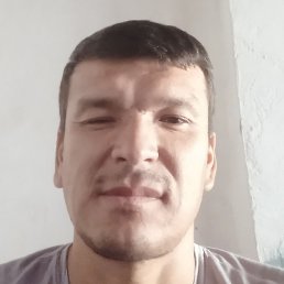 ���������, �����, 40 ���