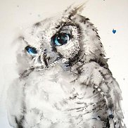 , 56 , -