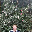 ����.���� 2023 �� ������� ���� ����������