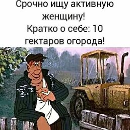 ���������, ���������, 37 ���