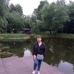 T, ������, 41 ���