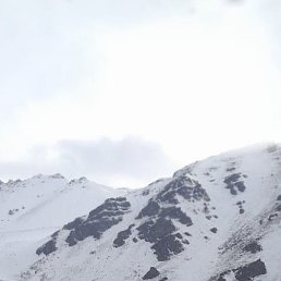 ���, ��������, 41 ���