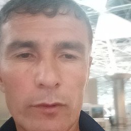 ��������, ������, 51 ���