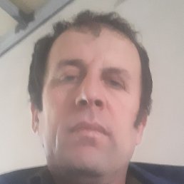 ������, ������, 43 ����