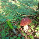 ���� ����, ���� - ��������� 23 ������� 2023 � ������ ���� ����������